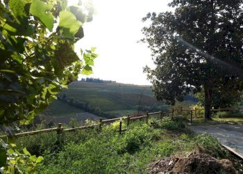 Terreno - Rustico strada Stazione, Fontanile - foto 8