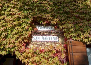 Cantina - Rustic strada Stazione, Fontanile - photo 37