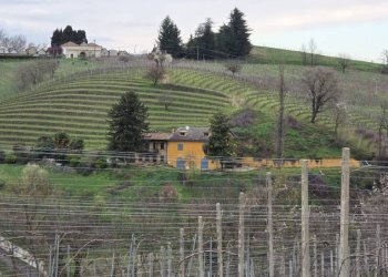 Terreno - Rustico strada Stazione, Fontanile - foto 38