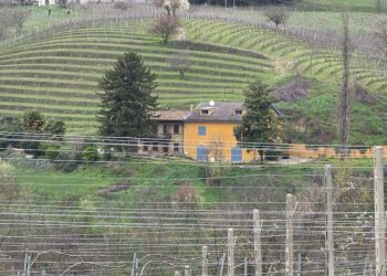 Terreno - Rustico strada Stazione, Fontanile - foto 41