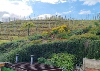 Vista - Rustic via Cortiglione, Vinchio - photo 9