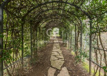 Foto 43 - Rustico Via Monte di Pietracuta
 
1, San Leo - foto 43