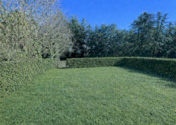 Giardino - Appartamento strada Andezeno, 54, Chieri - foto 23