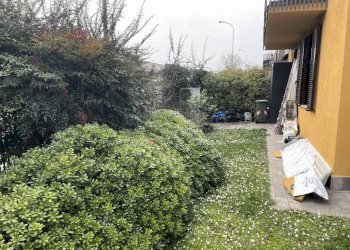 Giardino - Villa viale Venezia, Lodi - foto 11