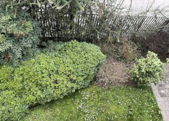 Giardino - Villa viale Venezia, Lodi - foto 14