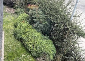 Giardino - Villa viale Venezia, Lodi - foto 16