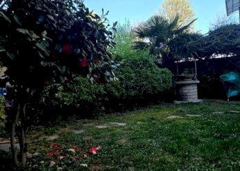 Giardino - Villa a Schiera Alessandria - foto 33