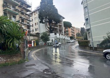 Zona - Magazzino via Luigi Devoto, Genova (zona Quarto) - foto 15