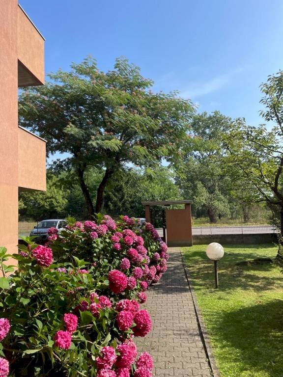 Giardino - Three-room apartment via Giovanni Amendola, Pavia - photo 3