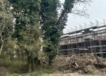 Terreno - Trilocale strada Leona, 23, Pavia - foto 6