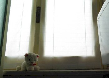 Altro - Trilocale strada Langhirano, 431A, Parma - foto 18