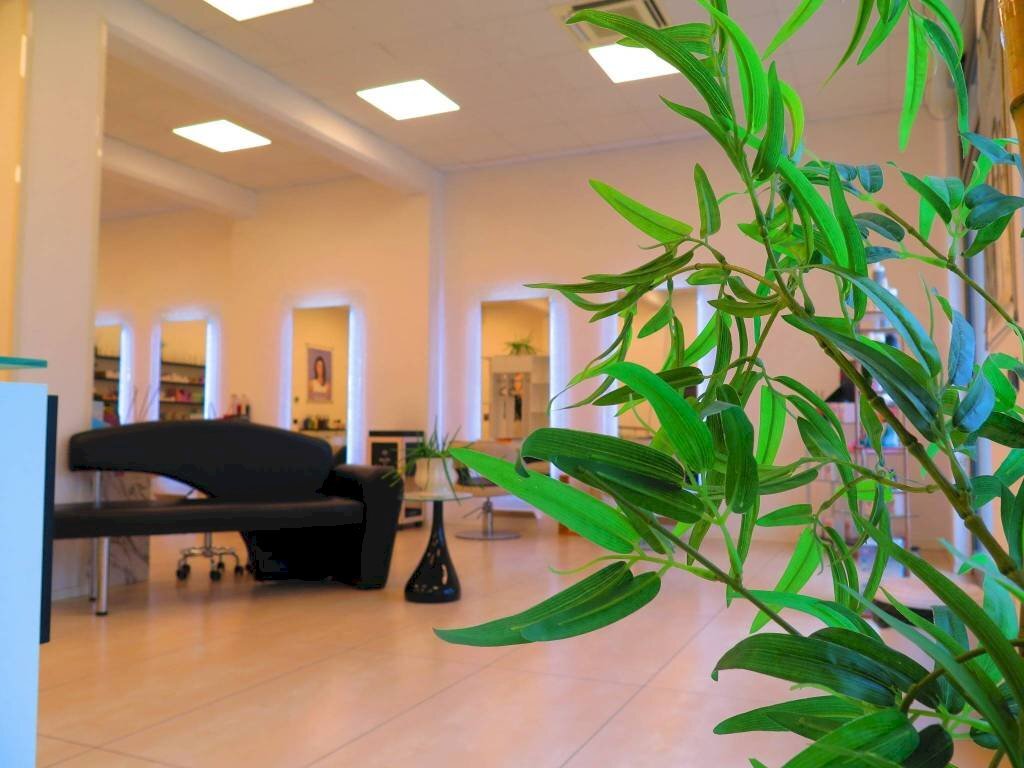 Interno non residenziale - Parrucchieri Uomo - Donna viale Antonio Fratti, 4, Parma - foto 2