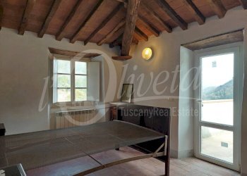 Foto 20 - Casa semi indipendente Pescaglia - foto 20