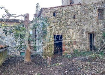 Foto 57 - Casa semi indipendente Pescaglia - foto 57