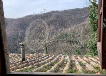 Foto 33 - Casa semi indipendente Coreglia Antelminelli - foto 33