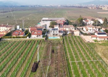 Foto 28 - Casa indipendente via Donzellino, Colognola ai Colli - foto 28