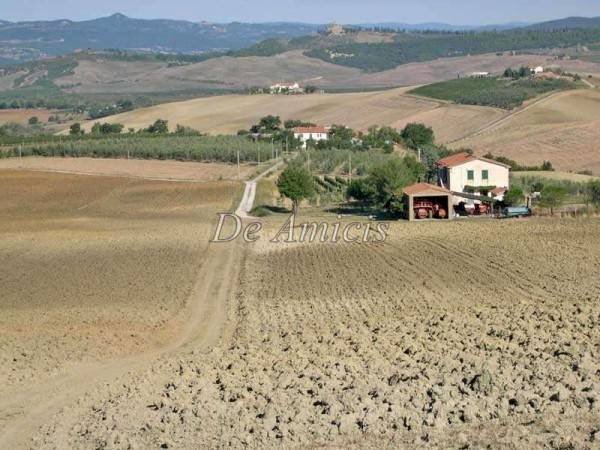 Terreno - Rustic strada Provinciale Poggi del Sasso, Cinigiano - photo 2