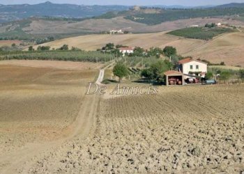 Terreno - Rustic strada Provinciale Poggi del Sasso, Cinigiano - photo 2
