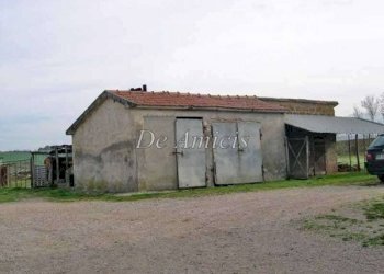 Terreno - Rustico strada Provinciale Poggi del Sasso, Cinigiano - foto 6