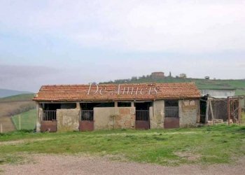 Terreno - Rustico strada Provinciale Poggi del Sasso, Cinigiano - foto 7