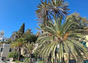 Vista - Quadrilocale via Charles Garnier, 54, Bordighera - foto 46