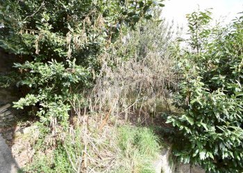 Giardino - Casa semi indipendente Chiuso del Castello
 
5, Colazza - foto 62