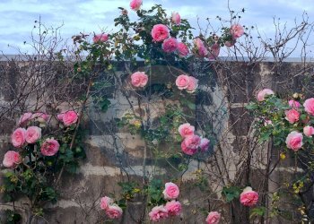 Foto 27 - Villa Strada Ceglie Triggiano Capurso
 
108, Valenzano - foto 27