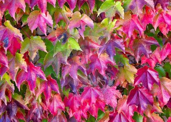 Foto 30 - Villa Strada Ceglie Triggiano Capurso
 
108, Valenzano - foto 30