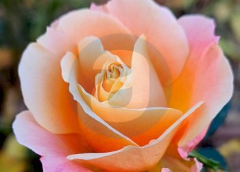 Foto 31 - Villa Strada Ceglie Triggiano Capurso
 
108, Valenzano - foto 31