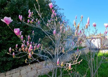 Foto 34 - Villa Strada Ceglie Triggiano Capurso
 
108, Valenzano - foto 34