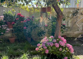 Foto 29 - Villa a Schiera Via Cimabue
 
21, Valenzano - foto 29