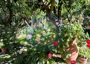 Foto 30 - Villa a Schiera Via Cimabue
 
21, Valenzano - foto 30