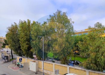 Foto 8 - Trilocale Viale Quinto Ennio
 
76, Bari - foto 8