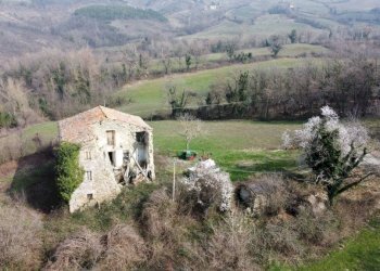Terreno - Rustico via Valle, Sant'Agata Feltria - foto 34