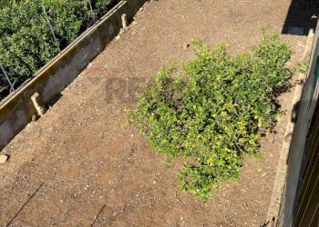 Giardino - Independent house strada portelli
 
4, Trapani - photo 43