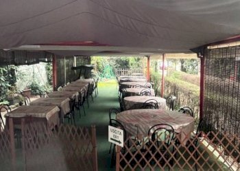 Giardino - Negozio via Setta, Sasso Marconi - foto 11