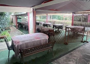 Giardino - Negozio via Setta, Sasso Marconi - foto 12