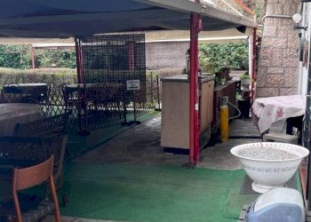 Giardino - Negozio via Setta, Sasso Marconi - foto 13