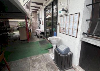 Giardino - Negozio via Setta, Sasso Marconi - foto 14