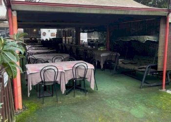 Giardino - Negozio via Setta, Sasso Marconi - foto 18