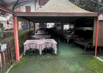 Giardino - Negozio via Setta, Sasso Marconi - foto 19