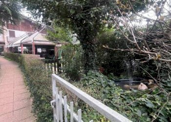 Giardino - Negozio via Setta, Sasso Marconi - foto 21