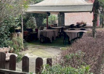 Giardino - Negozio via Setta, Sasso Marconi - foto 23