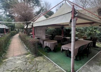 Giardino - Negozio via Setta, Sasso Marconi - foto 27