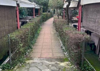 Giardino - Negozio via Setta, Sasso Marconi - foto 28