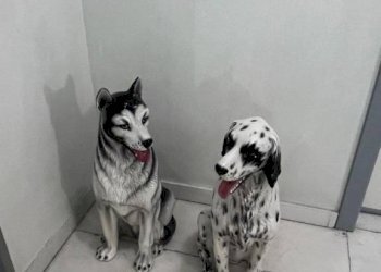 Altro - Negozio via Setta, Sasso Marconi - foto 46