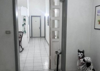 Corridoio - Negozio via Setta, Sasso Marconi - foto 47