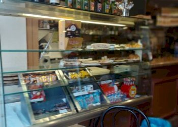 Interno non residenziale - Bar Tavola Calda - Fredda Bologna (zona Costa Saragozza) - foto 8