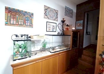 Veranda - One-room apartment Givoletto - photo 10
