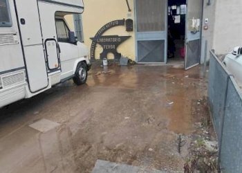 Box auto - Capannone strada Provinciale del Virginio, Lastra a Signa - foto 9